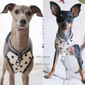 犬服|ちいさなしずく。|コーデュロイドット|選べる4タイプ×4カラー(ベージュ/ネイビー)