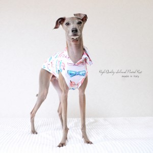 「新作犬服」可愛くポップに過ごす夏♪「上質なイタリア製舶来プリントニット」