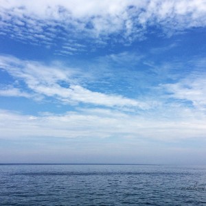 26℃の冷房がかかった部屋より、32℃の薄暗い部屋が好きなイタグレBuono!