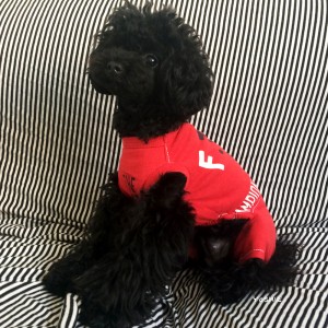 「一からの犬服作り7」お洋服が完成したら確認する6つポイント