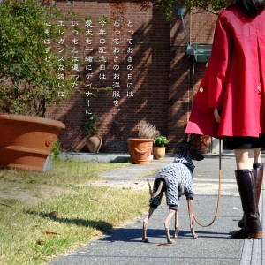 「愛犬と過ごす上質な休日」とっておきの日にはとっておきのお洋服を。いつもとは違ったエレガンスな装いに心もはずむ。