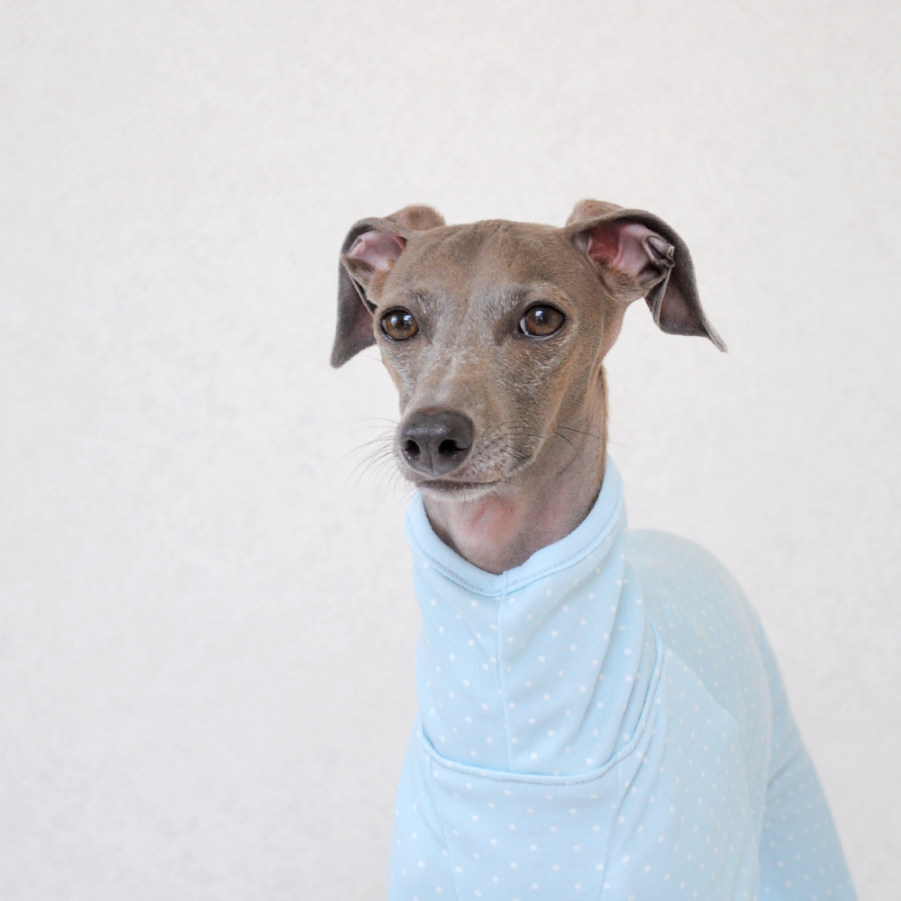 「犬服デザイン」首元の前後に縫い目がないタイプのネックについて「肌荒れ予防|掻き癖保護|防寒対策」