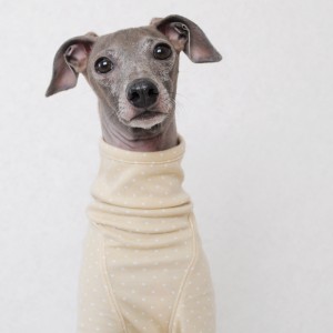 「犬服デザイン」首元の前後に縫い目がないタイプのネックについて「肌荒れ予防|掻き癖保護|防寒対策」