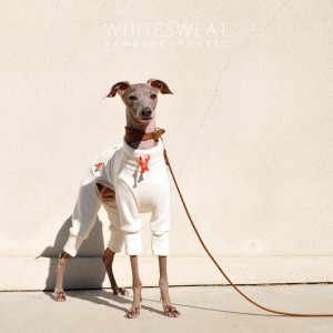 犬服|白スウェット×カンガルーポケット|選べる4タイプ×選べる紐6カラー