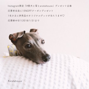 Instagram限定『愛犬と雪とaratahouse』プレゼント企画
