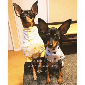 色違いのお洋服♪お二人ともかわいいショットだよっ♪「ミニピン」
