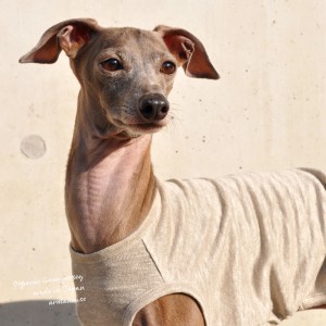 犬服|上質な日本製オーガニックリネンジャージ|選べる3タイプ