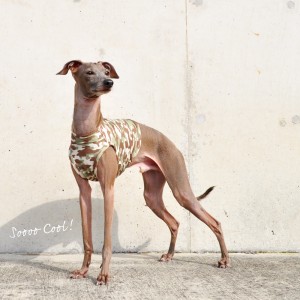 犬服|SOOOO COOL! 水に濡らしてひんやり!UVカット90%|ウォータークールクロス特殊冷感ニット|選べる3タイプ×2カラー(カモフラグリーン/カモフラブルー)