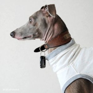 地震発生!!愛犬Buono!にしたこと。「ペットの災害対策」「災害時におけるペットの救護対策ガイドライン」