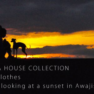 1営業日以内の発送が可能な犬服始まりました「ARATA HOUSE COLLECTION」
