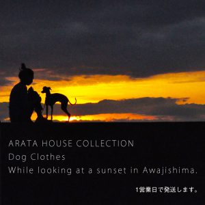 1営業日以内の発送が可能な犬服始まりました「ARATA HOUSE COLLECTION」