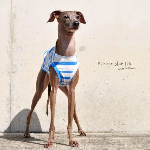 犬服|Summer blue sea|日本製綿100%フリーハンドボーダー|選べる3タイプ×2カラー(アクア/ヨットブルー)