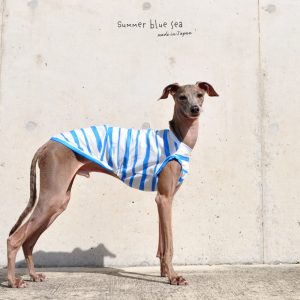 犬服|Summer blue sea|日本製綿100%フリーハンドボーダー|選べる3タイプ×2カラー(アクア/ヨットブルー)