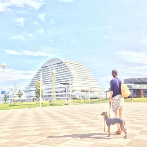 「36才の妻が60日間で体重-5kg体脂肪-8%なった方法」確実に綺麗になるには食べること、確実に筋肉を増やすには食べること。