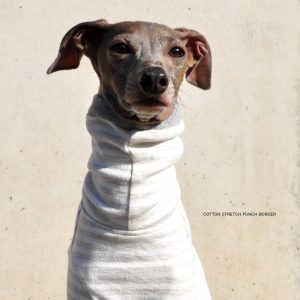 犬服|コットンストレッチポンチボーダー|選べる4タイプ(グレー)