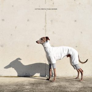 犬服|コットンストレッチポンチボーダー|選べる4タイプ(グレー)