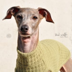 犬服|日本製ウールワッフル|選べる3タイプ(Leaf Green)