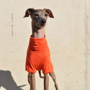 犬服|空の移ろい|日本製スペック天竺ニット|選べる4タイプ×3カラー(蒲公英色/橙色/茜色)+Aくらぶメンバー限定6カラーあり