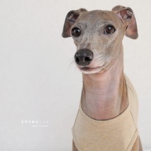 犬服|杢天竺無地ニット|選べる4タイプ×3カラー(ベージュ/グレイ/ネイビー)