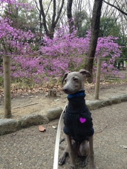 o0249033212489317448