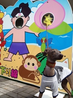 も〜も太郎さん桃太郎さん