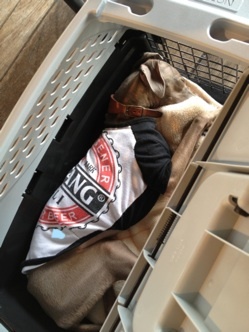 美味しい食事に綺麗な景色!Buono!もマッタリ爆睡