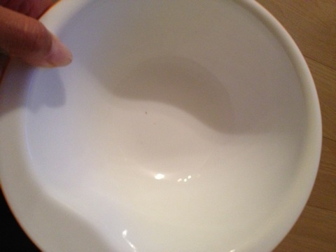 イタグレ回虫治療｜生後6ヶ月イタグレBuono!の便から…