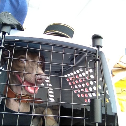 イタグレBuono!初のフェリー