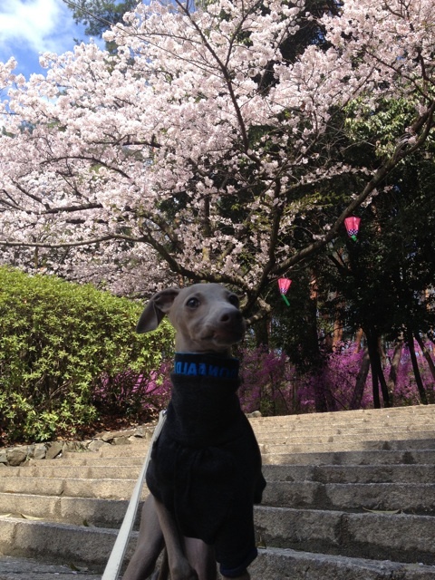 o0480064012489317612