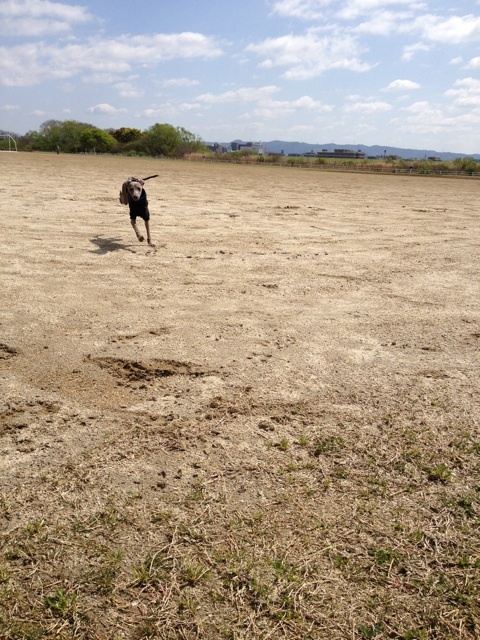 o0480064012492989248