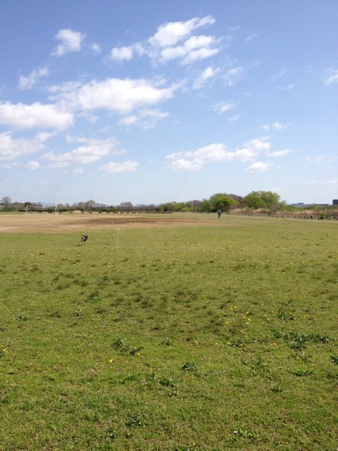 o0480064012492989268