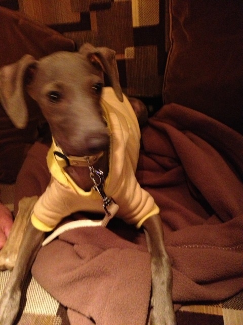 o0480064012500691179