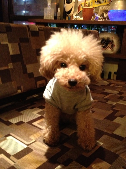 o0480064012500691259