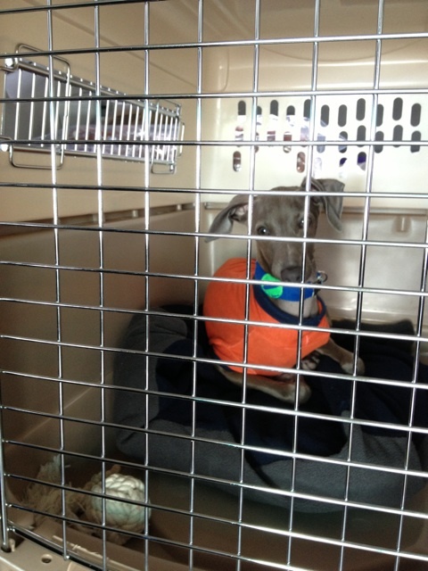 o0480064012510029479