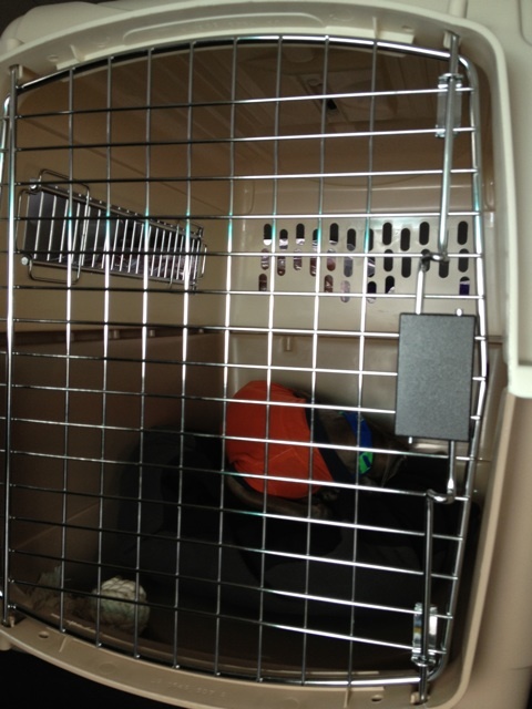 o0480064012510029505