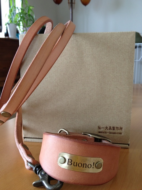 Buono!にもイタグレ用首輪を