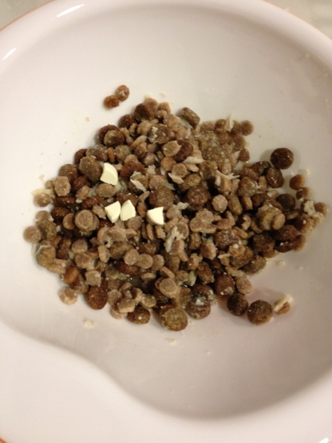 イタグレ回虫治療｜生後6ヶ月イタグレBuono!の便から…