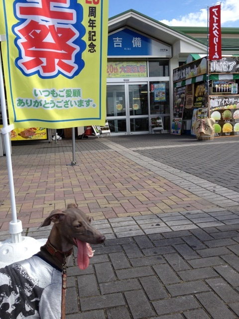 も〜も太郎さん桃太郎さん