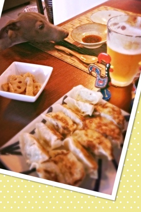 餃子パンティー