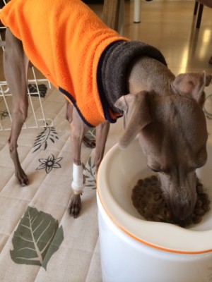 やっぱ！家のご飯は最高だね！