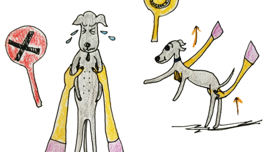 シチュエーション別の正しい犬の抱き方 犬のしつけ 犬の育て方 Vol 3 Arata House