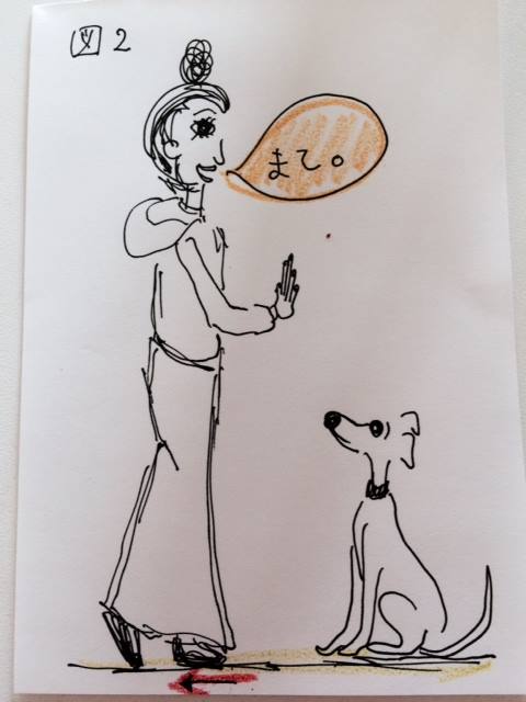 しつけ｜待てのトレーニング【犬の育て方 vol.8】