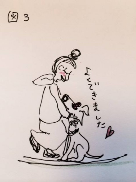 しつけ｜お座りトレーニング【犬の育て方 vol.7】