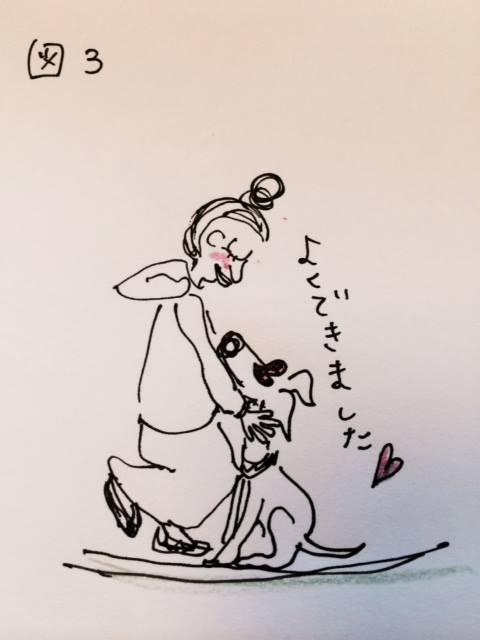 しつけ｜お座りトレーニング【犬の育て方 vol.7】