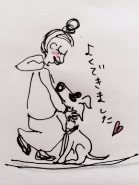 しつけ｜待てのトレーニング【犬の育て方 vol.8】