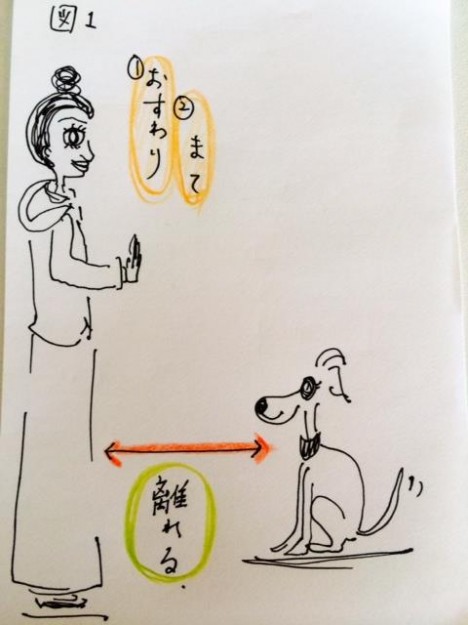 しつけ|おいでのトレーニング【犬の育て方 vol.9】