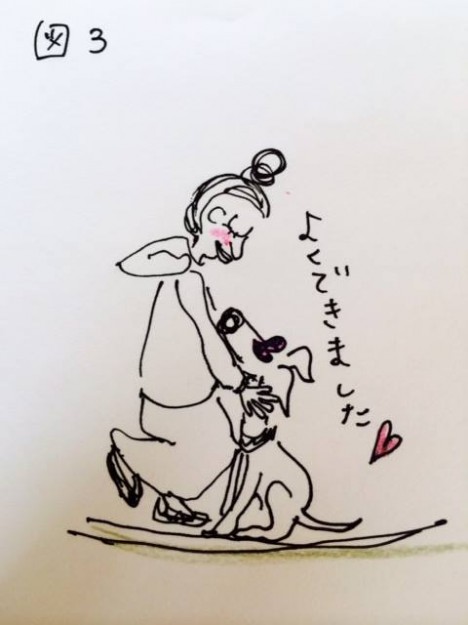 しつけ｜おいでのトレーニング【犬の育て方 vol.9】