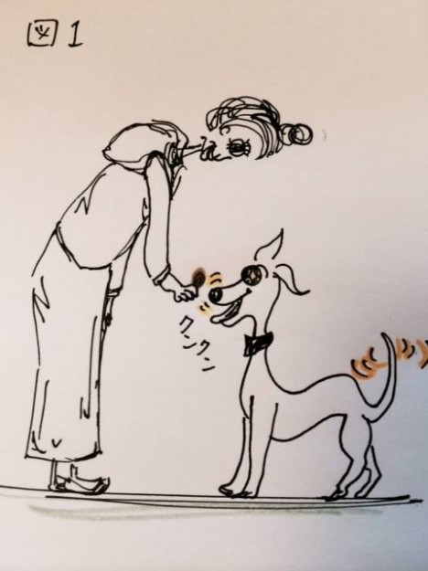 しつけ｜お座りトレーニング【犬の育て方 vol.7】