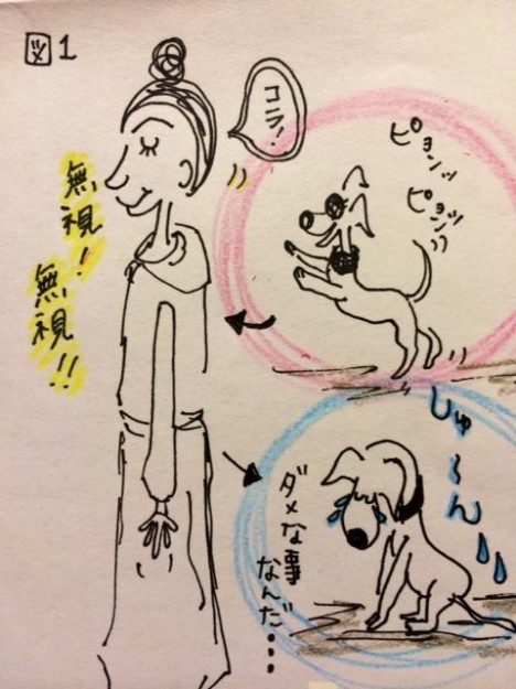 しつけ｜ジャンプジャンプを躾ける方法【犬の育て方 vol.6】