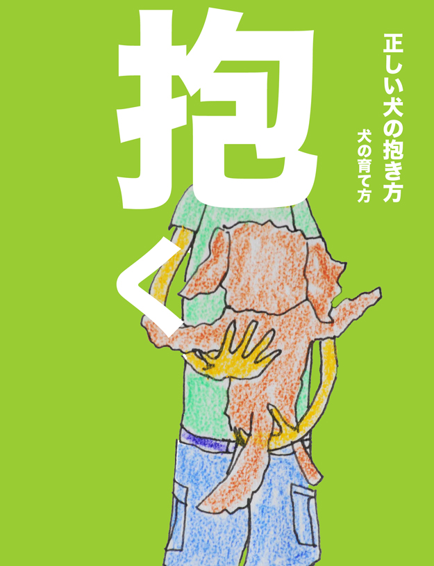 正しい犬の抱き方|犬の育て方